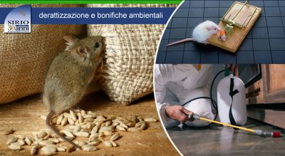 cooperativa sirio offerta servizio derattizzazione topi e ratti parma occasione derattizzazione e bonifiche ambientali parma