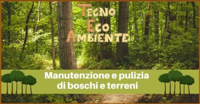 offerta manutenzione e pulizia di boschi e terreni versilia tecnoecoambiente