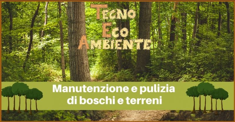 offerta manutenzione e pulizia di boschi e terreni Versilia - TECNOECOAMBIENTE