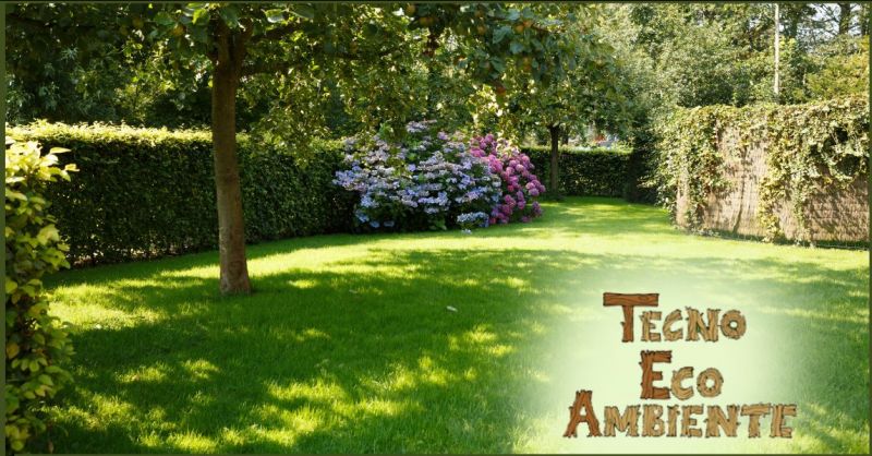  TECNOECOAMBIENTE - offerta servizi di giardinaggio e cura verde Versilia