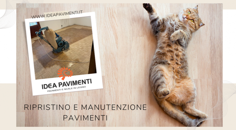 Offerta intervento sostituzione pavimento in legno Treviso – occasione manutenzione pavimenti in pvc Treviso