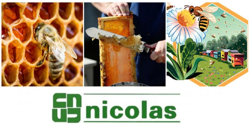 NICOLAS - Offre de vente Équipements pour apiculteurs production italienne