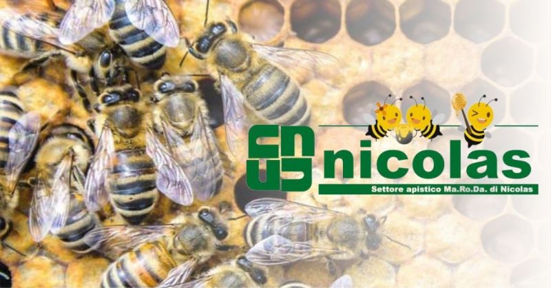 Nicolas srl - offre un service de ramassage et de fonte des nids d'abeilles en collaboration avec Cereria Valsusa