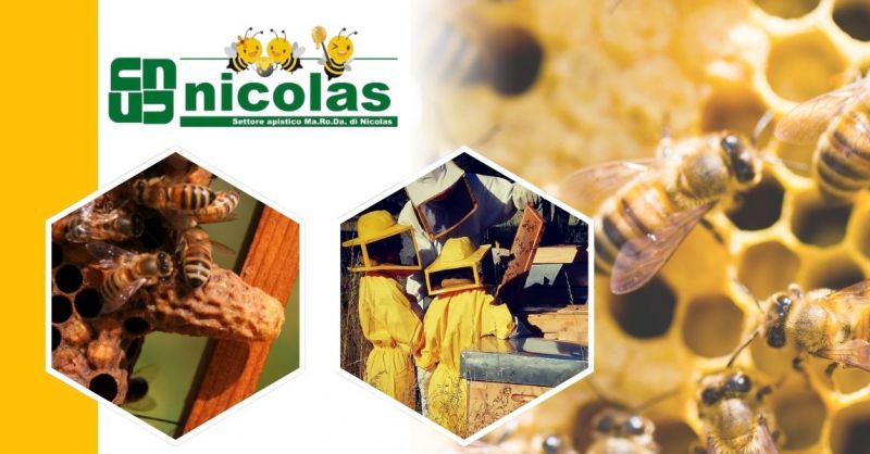 vente de ruches fabriquées en Italie