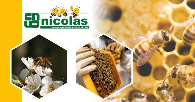 vente d’équipements apicoles Made in Italy