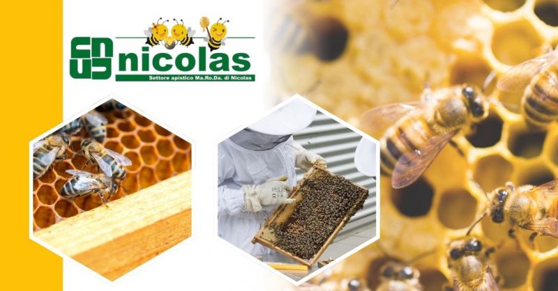 vente d’articles pour le désoperculage et l’extraction du miel Made Italy