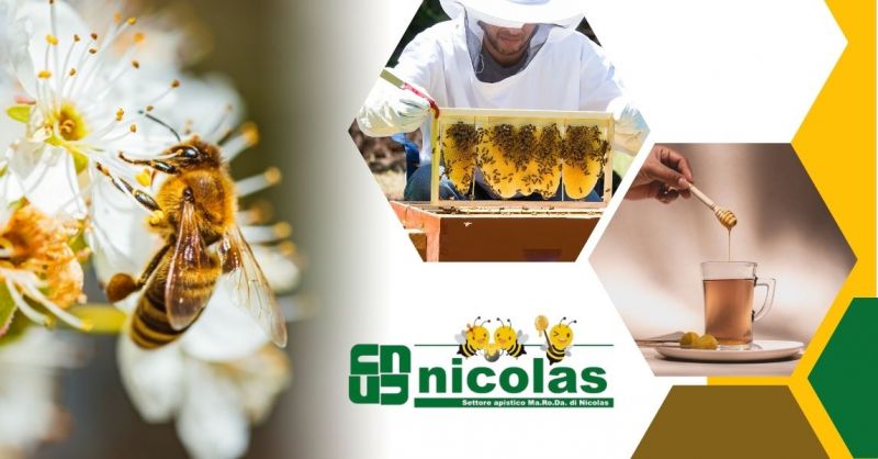 Location d’aspirateurs à essaim sous vide Made in Italy pour apiculteurs