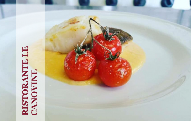 RISTORANTE LE CANOVINE offerta menu fisso - promozione ristorante aperto a pranzo
