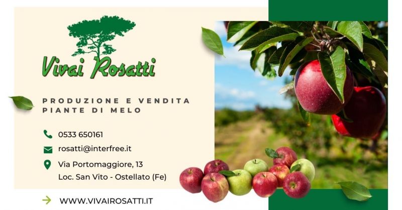 Offerta Produzione e vendita piante di Melo Italia - Occasione fornitura alberi di mele Italia