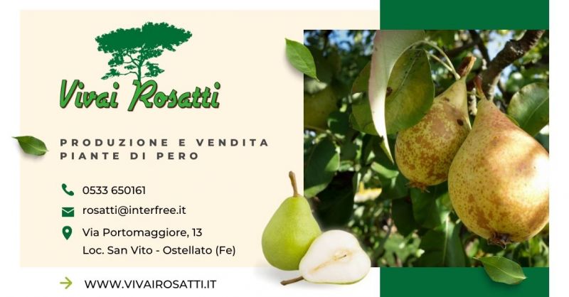 Offerta trova centro moltiplicazione piante Italia - Occasione Produzione e vendita piante di Pero Italia