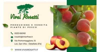  promozione produzione vendita piante di pesco occasione fornitura alberi di pesche italia