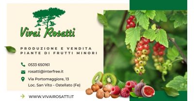  offerta trova azienda che produce e vende piante di piccoli frutti minori in italia
