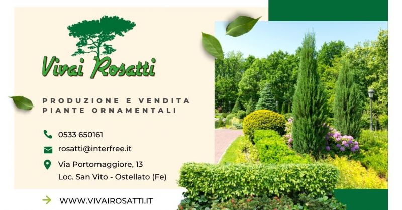 Offerta Produzione Vendita Piante ornamentali giardino - Occasione fornitura piante da siepe Italia