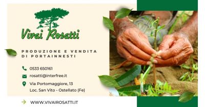 offerta trova il migliore fornitore di portainnesti per vivaisti aziende agricole in italia