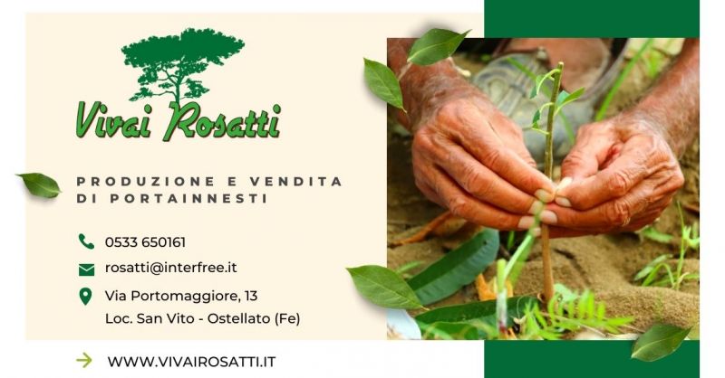 Offerta trova il migliore fornitore di portainnesti per vivaisti aziende agricole in Italia