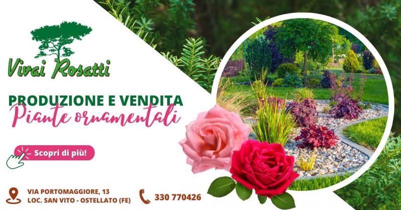 Occasione produzione e vendita varieta di piante da giardino