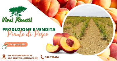 piante di pesco produzione e vendita emilia romagna