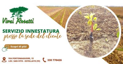 servizio di innestatura di alta qualita emilia romagna