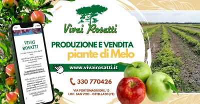 i migliori produttori di piante di melo
