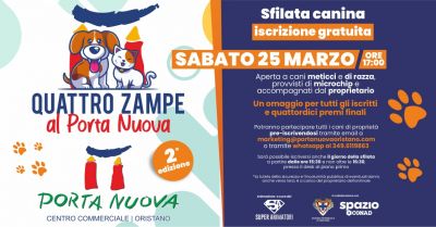 porta nuova oristano offerta sfilata canina amici quattro zampe