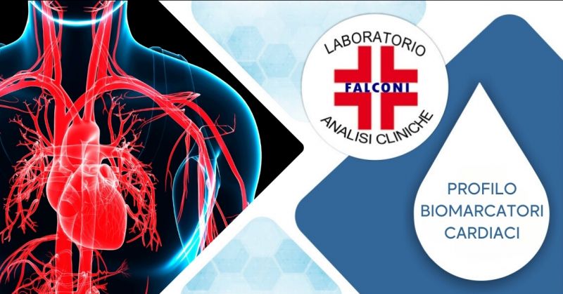 Profilo Biomarcatori Cardiaci Laboratorio Analisi