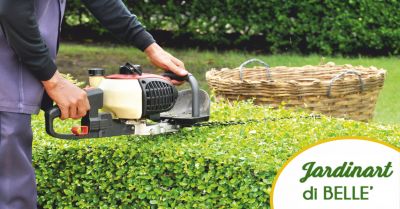 jardinart offerta giardinieri per la cura del verde occasione cura dei parchi massa carrara