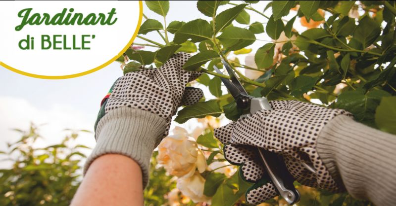 jardinart offerta potatura alberi lucca - occasione manutenzione aree verdi lucca
