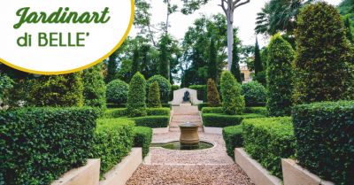 jardinart offerta architetto paesaggista versilia occasione progettazione giardini versilia