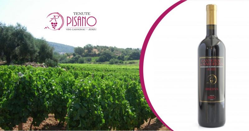 TENUTE PISANO JERZU - OFFERTA VINO ROSSO UVE CANNONAU DI SARDEGNA RISERVA