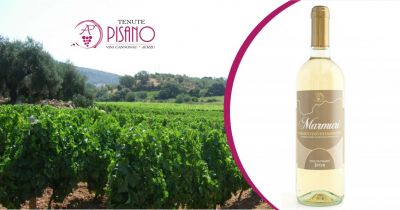 tenute pisano jerzu offerta vino bianco marmuri vermentino di sardegna