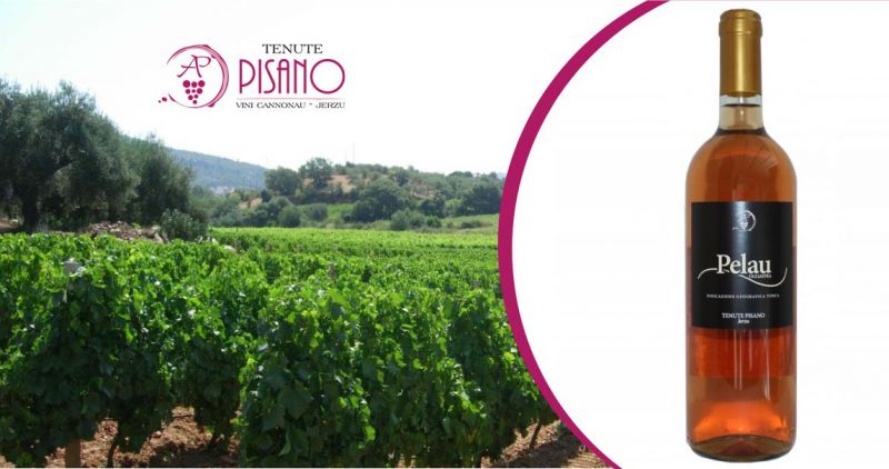 TENUTE PISANO JERZU - OFFERTA VINO ROSATO PELAU INDICAZIONE GEOGRAFICA TIPICA