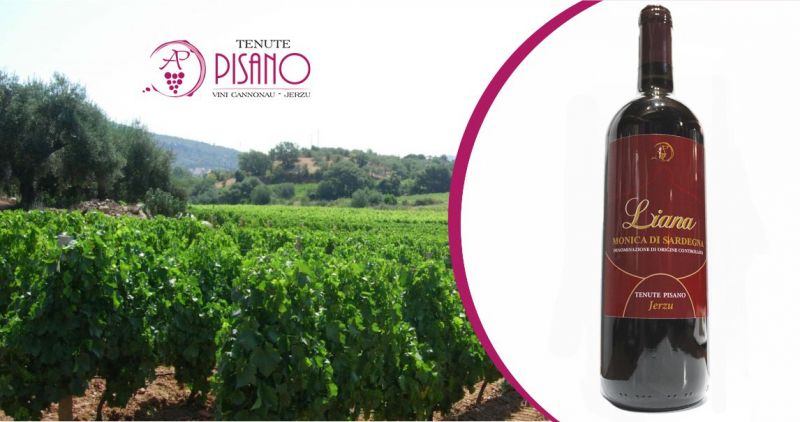 TENUTE PISANO JERZU - OFFERTA VINO ROSSO LIANA MONICA DI SARDEGNA