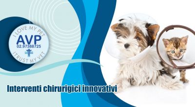  offerta interventi di chirurgia generale veterinario varese occasione laparoscopica su cani e gatti varese