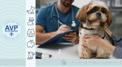 occasione consulenza veterinaria su alimentazione dei carnivori domestici