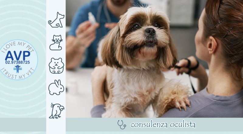  Occasione Consulenza Oculistica Veterinaria Cani e Gatti con Specialista