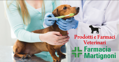 martignoni offerta vendita prodotti veterinari la spezia occasione vendita farmaci per animali la spezia