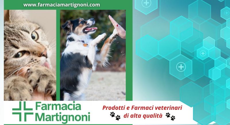 vendita prodotti veterinari farmaceutici per cani e gatti in farmacia