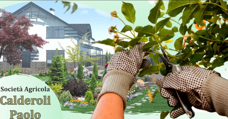 offerta progettazione e realizzazione parchi Bergamo - occasione manutenzione giardini Bergamo