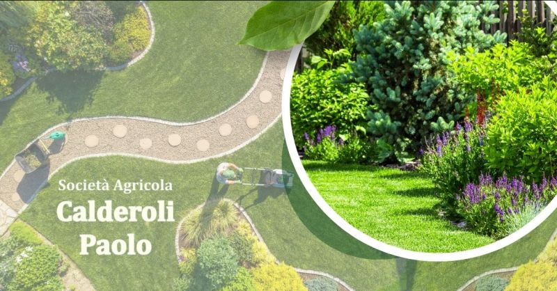 le migliori soluzioni per la cura del verde