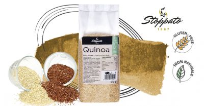 offerta dove si compra la quinoa occasione vendita on line semi di quinoa