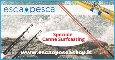  promozione canne da pesca surf casting in vendita on line a prezzi convenienti esca e pesca