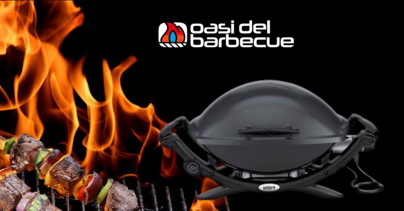 Offerta Barbecue modello elettrico Weber Q 2400 Thiene - Occasione tutto per Bbq e Barbecue Vicenza
