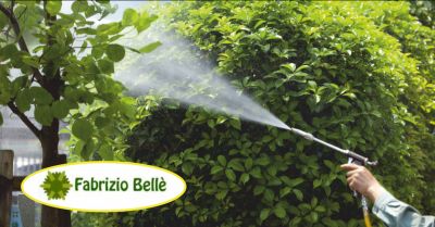  belle fabrizio offerta impianti di irrigazione giardino massa occasione irrigazione giardini carrara