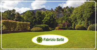 belle fabrizio offerta realizzazione giardini massa occasione giardiniere progettazione parchi carrara