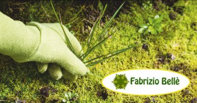 belle fabrizio offerta giardiniere posa in opera tappeto erboso sintetico massa carrara