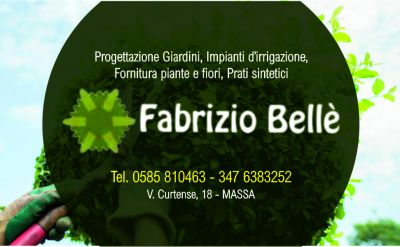 offerta giardiniere per potatura olivi a massa occasione potatura alberi da frutto massa