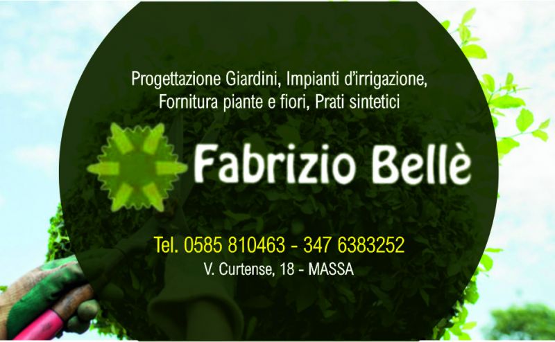 offerta giardiniere per potatura olivi a massa - occasione potatura alberi da frutto massa