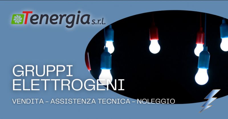 TENERGIA SRL - Offerta servizio assistenza tecnica gruppi elettrogeni Frosinone