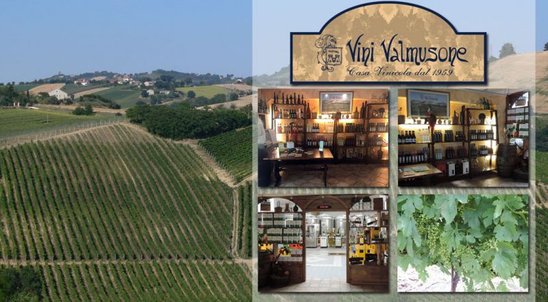    Occasione azienda vinicola produzione e vendita vino jesi - offerta servizio consegna vino a domicilio ancona