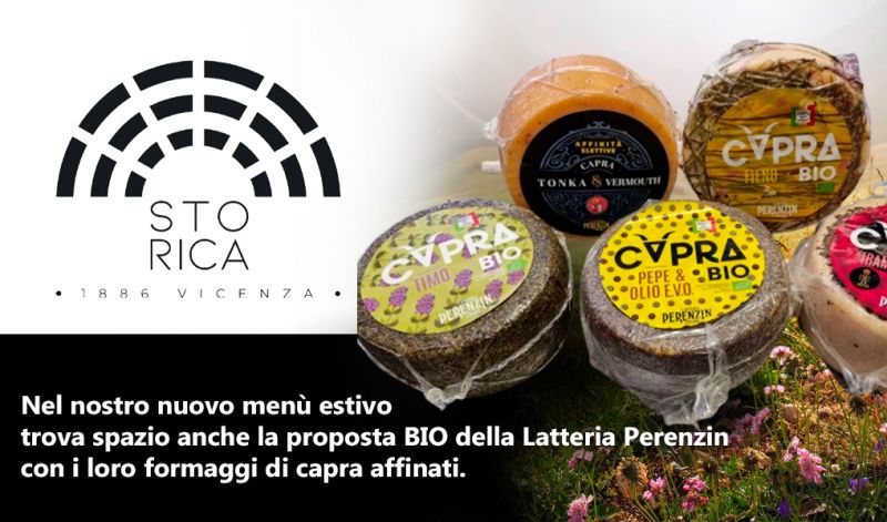 Offerta Menù estivo formaggi di capra affinati Vicenza - Occasione Menù con proposta BIO della Latteria Perenzin formaggi di capra
